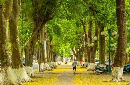 Capturing the golden tones on Phan Dinh Phung Street