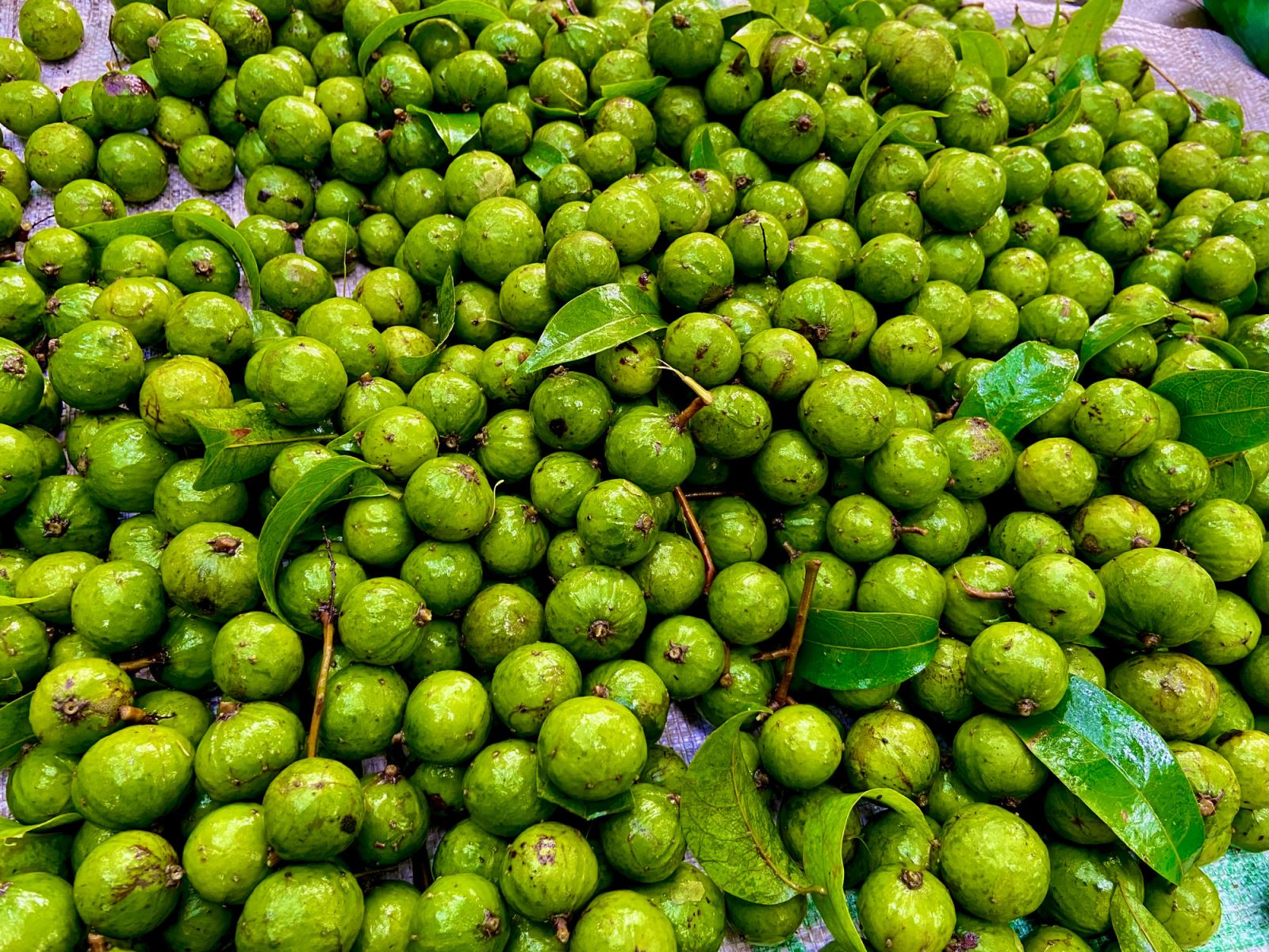 Sấu xuất hiện trong các bữa ăn hàng ngày, các món nước uống giải khát của người Hà Nội (Nguồn: tienphong)